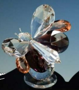 Studio_20151129_111717